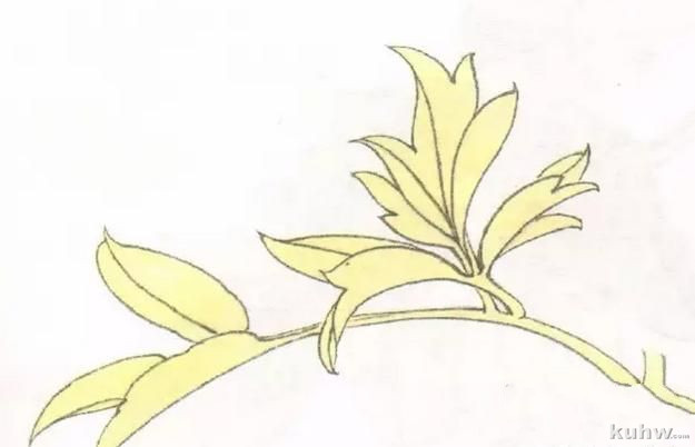 图文教程:工笔牡丹叶子着色方法