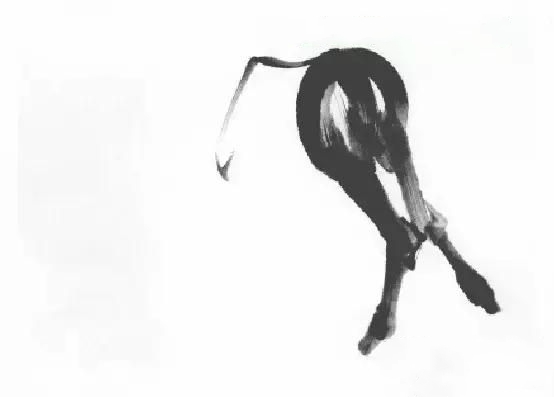 教你怎样画毛驴,小毛驴简单画法画法,国画写意毛驴的画法和步骤图解