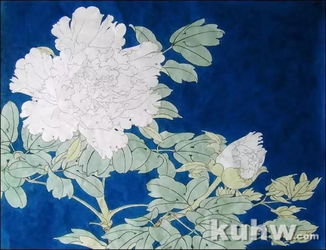 工笔《白色牡丹》设色步骤