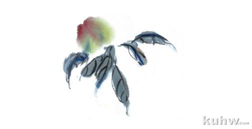 葡萄、桃子、蘑菇、荸荠的画法