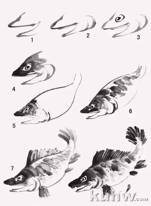 国画鱼虾的画法，简单好学