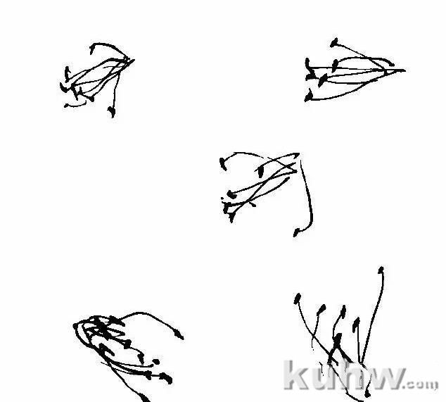 图文教程：杜鹃花的写意画法