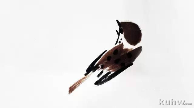 如何画好各种姿态的麻雀（详细步骤图解 1）