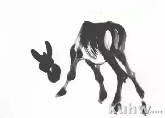 教你怎样画毛驴,小毛驴简单画法画法,国画写意毛驴的画法和步骤图解