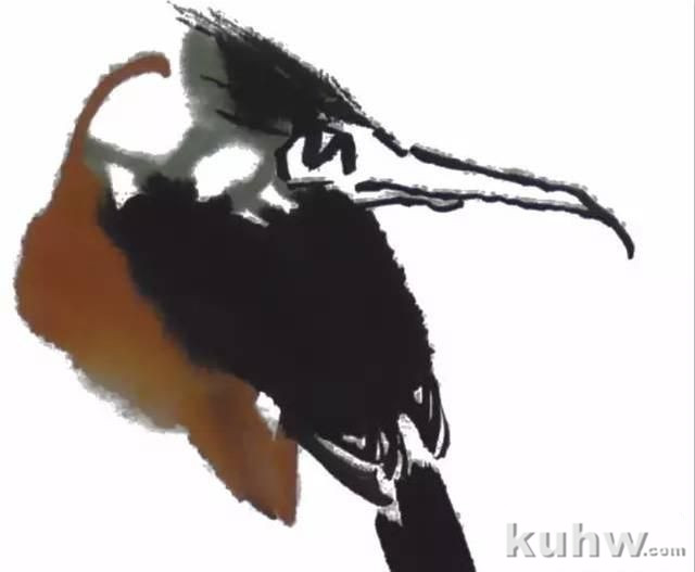 图文教程：写意禽鸟的画法（一）