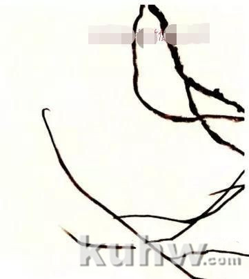 怎么画紫藤,写意紫藤的画法与步骤图