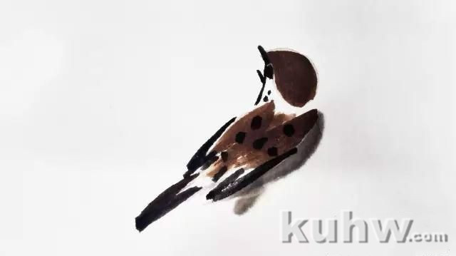 如何画好各种姿态的麻雀（详细步骤图解 1）