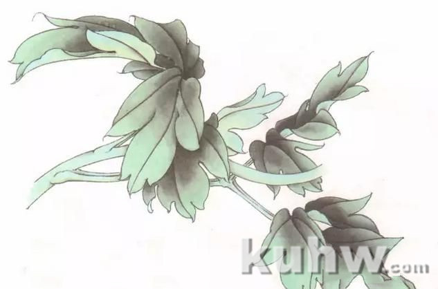 图文教程:工笔牡丹叶子着色方法
