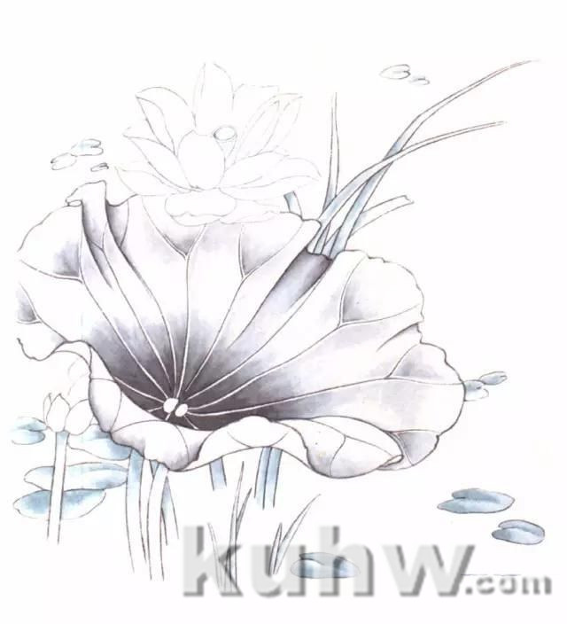 画友之家-技法篇-工笔花卉白描、工具及设色步骤,太全啦!