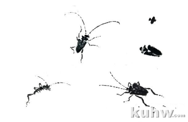蜜蜂、蜻蜓、螳螂、天牛、蟋蟀的画法