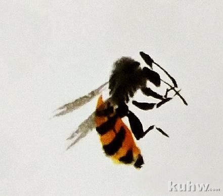 国画之蜜蜂的画法，以及不同形态的蜜蜂画法