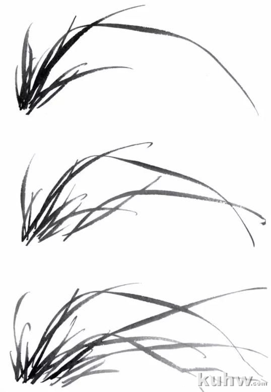 图文教程:兰花的画法入门