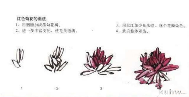 国画入门：菊花的简单画法
