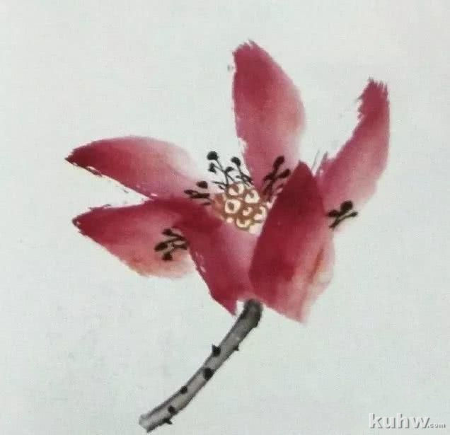国画之荷花花头的没骨法画法,以及不同形态的荷花花头