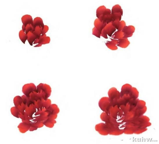 国画牡丹技法：6种颜色牡丹的画法