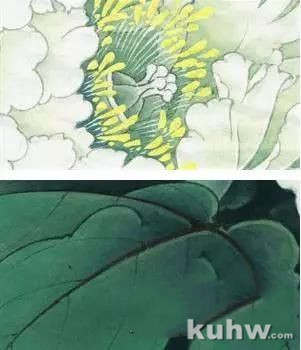 李晓明《工笔白牡丹》设色步骤