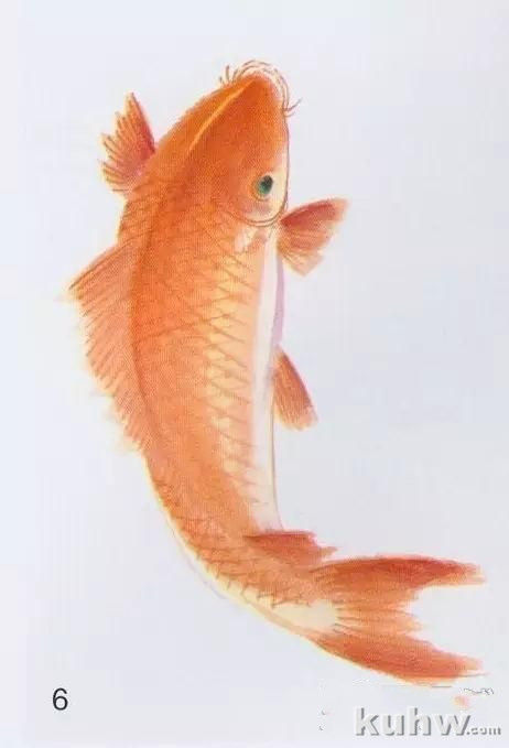 鲤鱼的工笔与写意画法