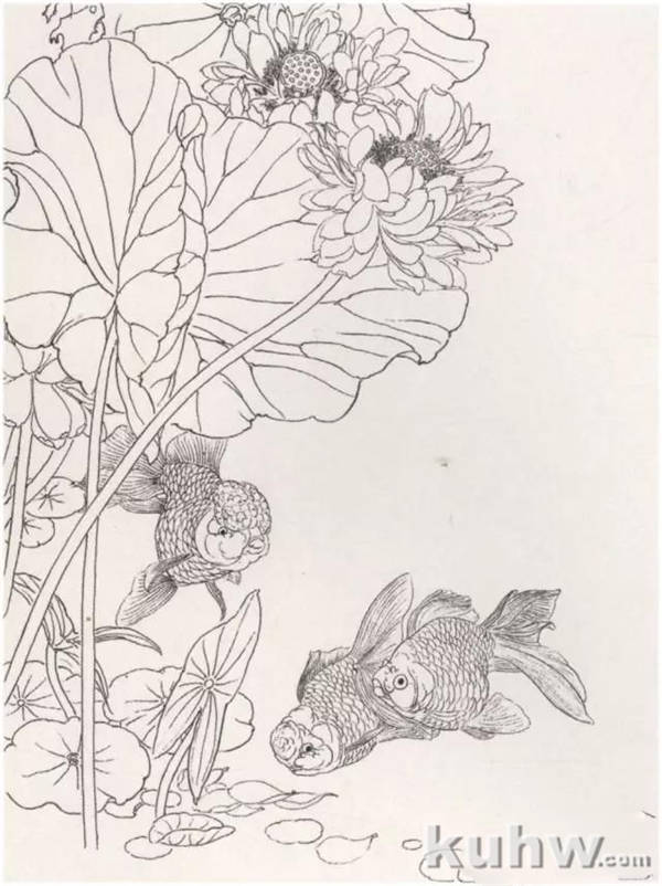 画友之家-技法篇-工笔金鱼白描、设色步骤讲解，给力！