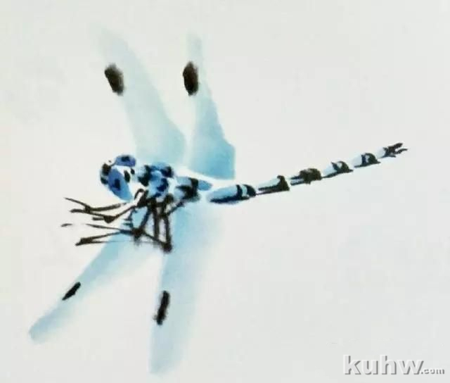 画昆虫之不同形态的蜻蜓以及画蜻蜓的步骤