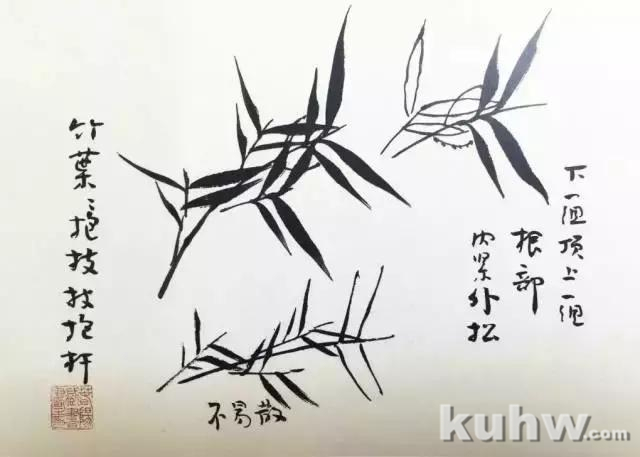 学习画竹,太全面了