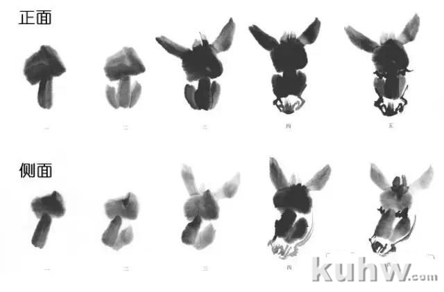 教你怎样画毛驴,小毛驴简单画法画法,国画写意毛驴的画法和步骤图解