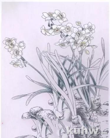 工笔水仙画法