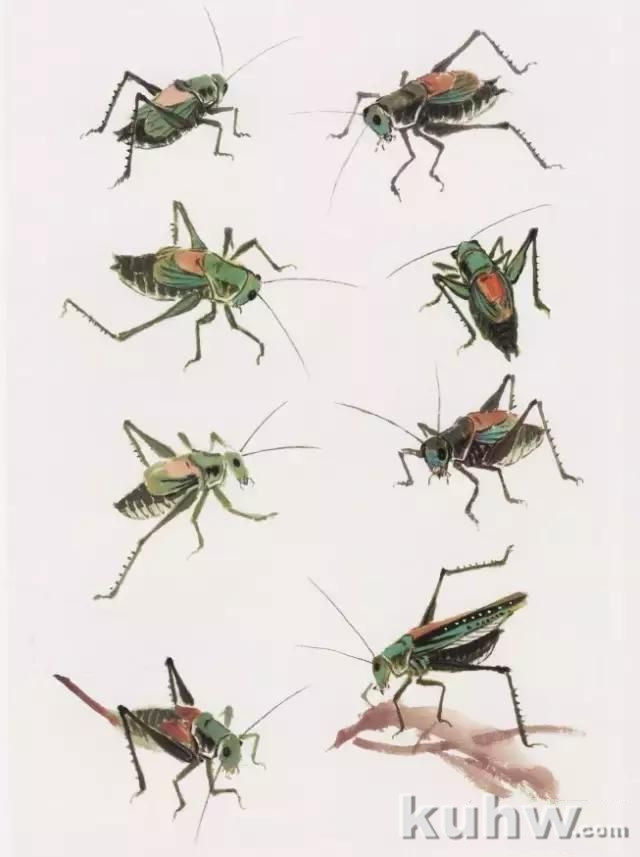 图文教程：写意草虫画法之蝉、螳螂、蝈蝈的写意画法步骤