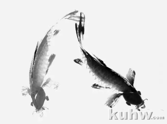 写意鲤鱼画法详解