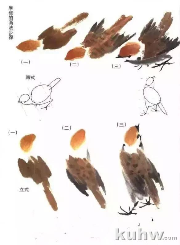 麻雀太平鸟绘画技法详解