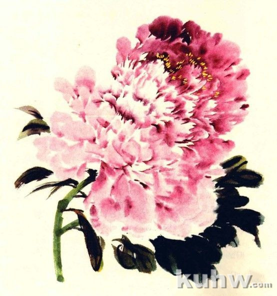 国画牡丹花头 国画牡丹花头