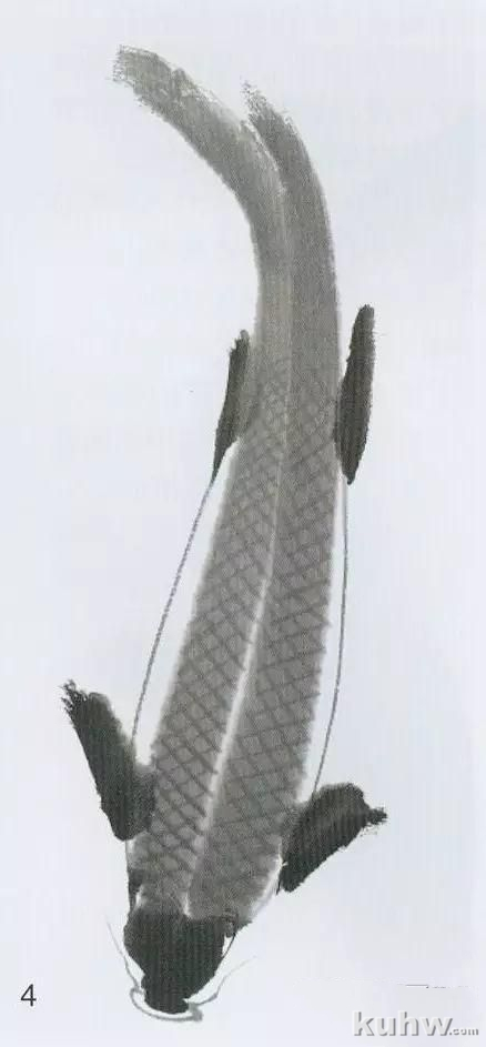 鲤鱼的工笔与写意画法