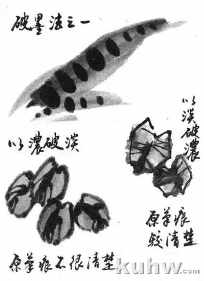 写意花鸟用墨技法详解!