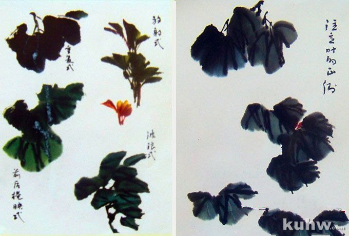 国画写意牡丹的画法步骤,牡丹的花朵叶子枝干画法