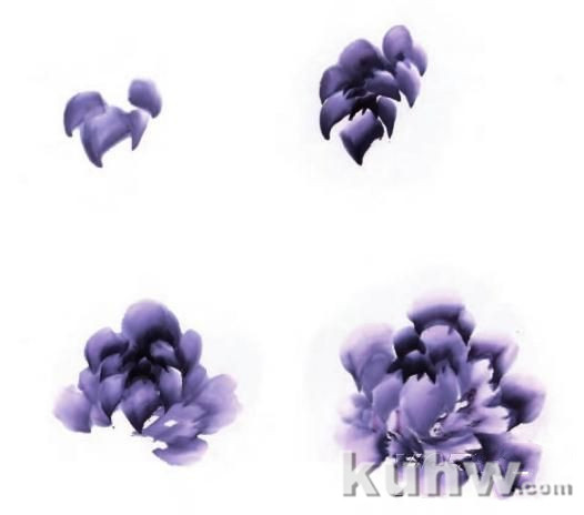 国画牡丹技法：6种颜色牡丹的画法