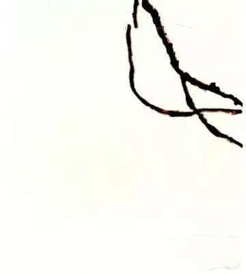 怎么画紫藤,写意紫藤的画法与步骤图