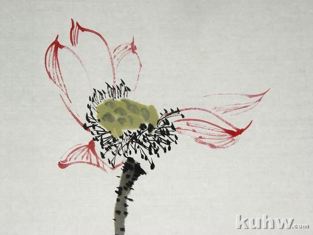 水墨荷花，局部步骤分享