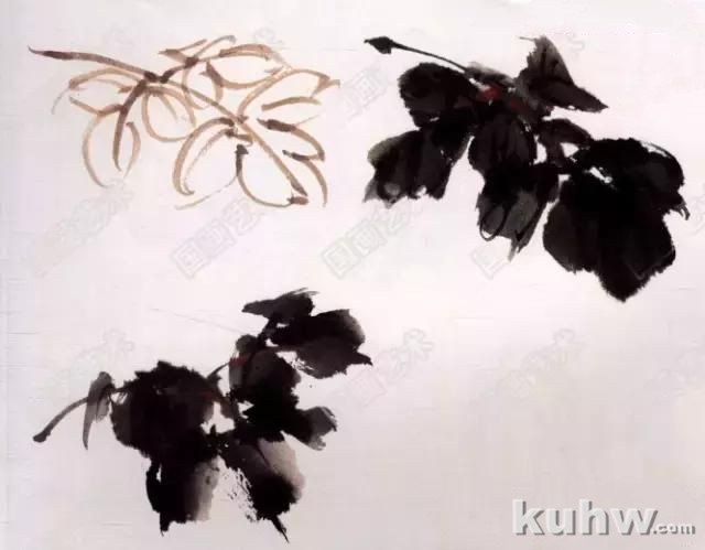 图文教程:写意牡丹玉兰画法解析