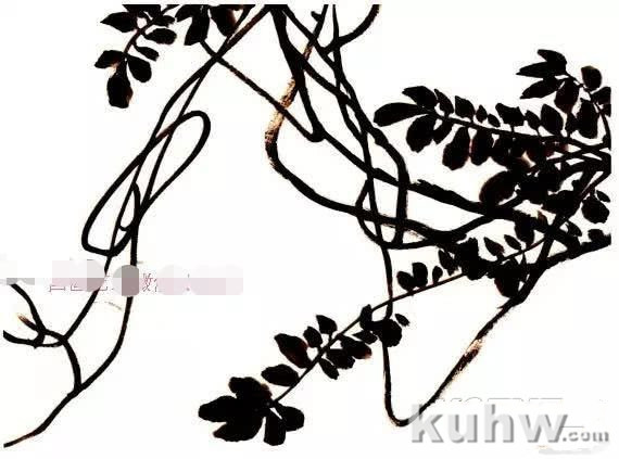 怎么画紫藤,写意紫藤的画法与步骤图