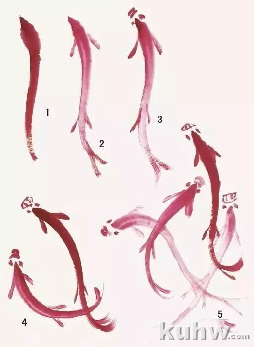 国画鱼虾的画法，简单好学