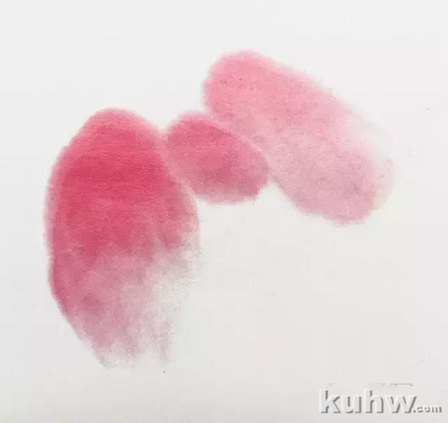 国画牡丹之一(花瓣、花头的画法)