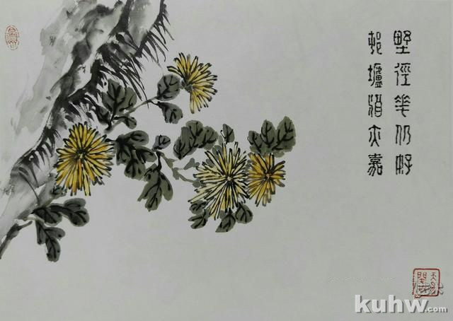 清前名家26种墨菊搭配技法之四,简单易学+21幅示范图