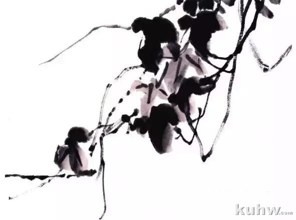 写意藤蔓植物画法教程 藤蔓,叶的组合画法,牵牛花扁豆紫藤凌霄葫芦丝瓜葡萄南瓜的写意画法