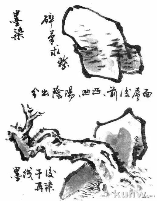 写意花鸟用墨技法详解!