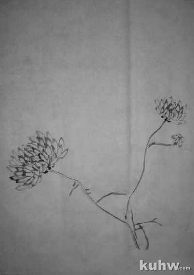 中国写意画菊花的画法步骤
