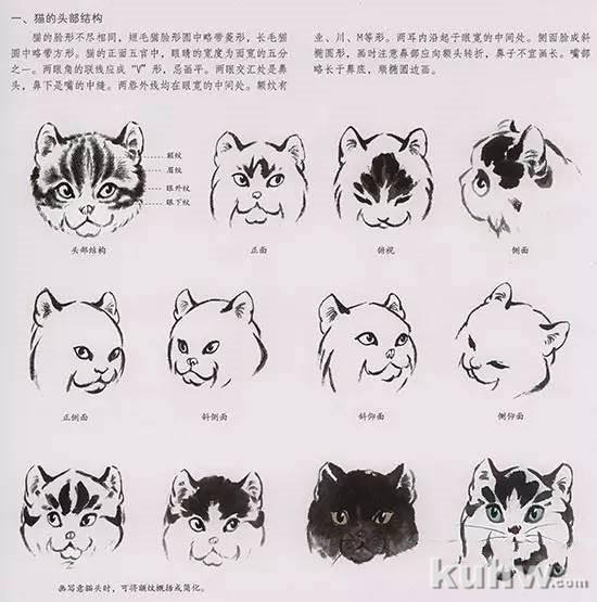 国画技法:教大家画萌萌的喵星人!