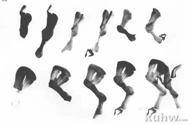 教你怎样画毛驴,小毛驴简单画法画法,国画写意毛驴的画法和步骤图解