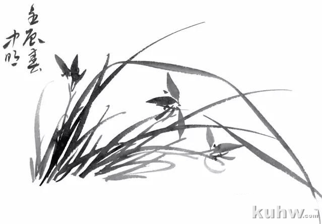图文教程:兰花的画法入门