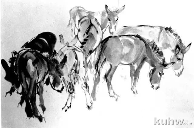 教你怎样画毛驴,小毛驴简单画法画法,国画写意毛驴的画法和步骤图解