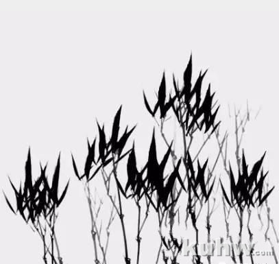 图文教程：墨竹的画法（一）