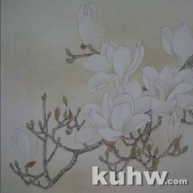 玉兰花绘画教程,真不错!